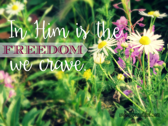 In Him is the freedom we crave.